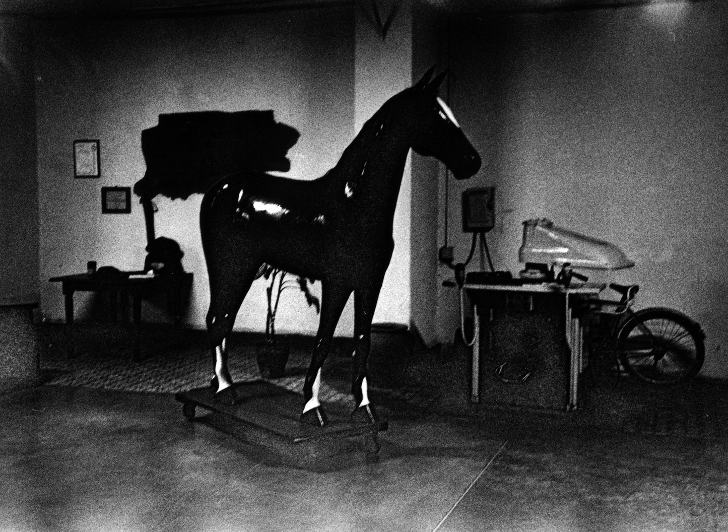 Cuban Horse, Cuba (2005)
